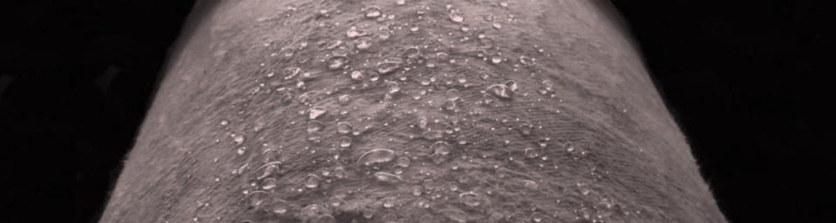 Water repellent